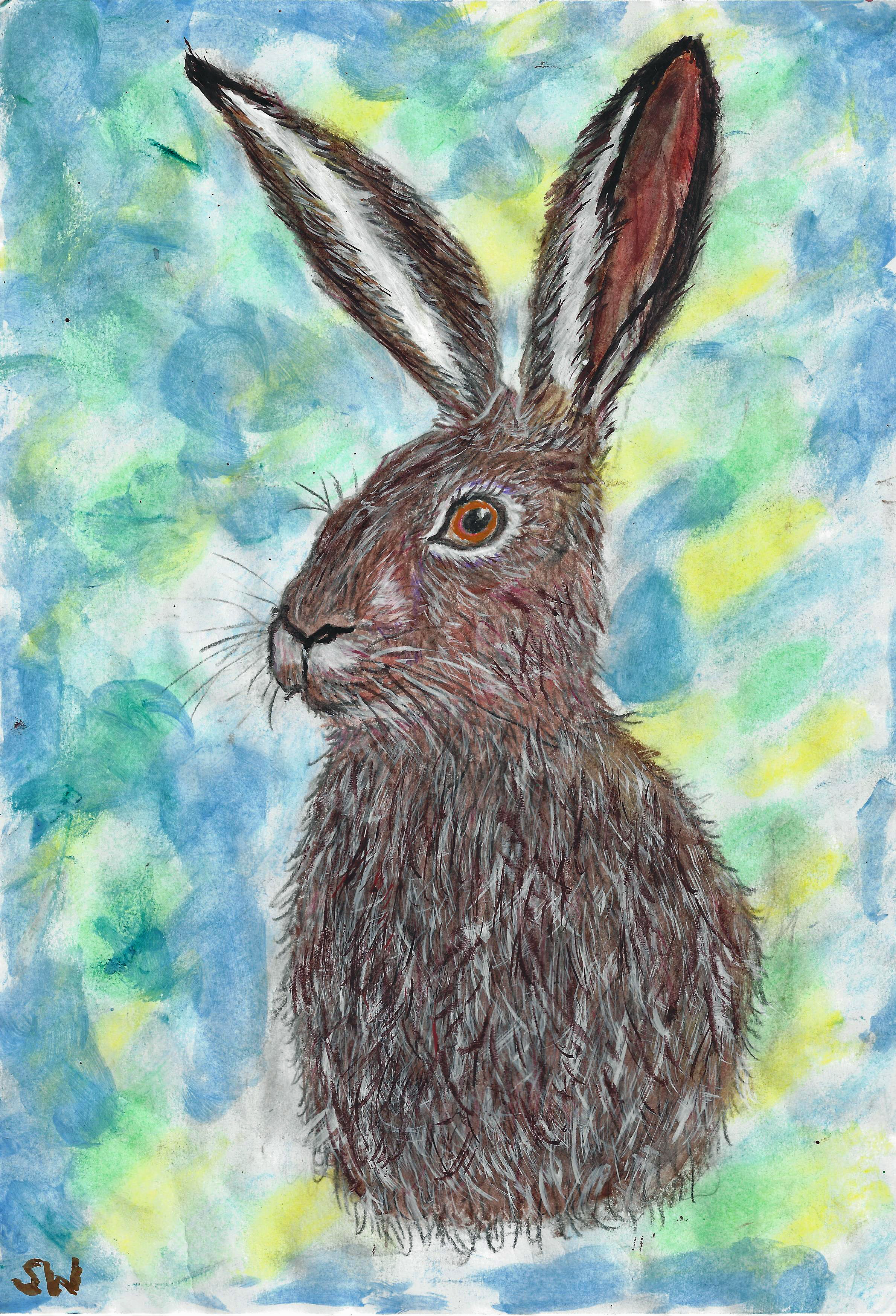 Hase im Regenbogen