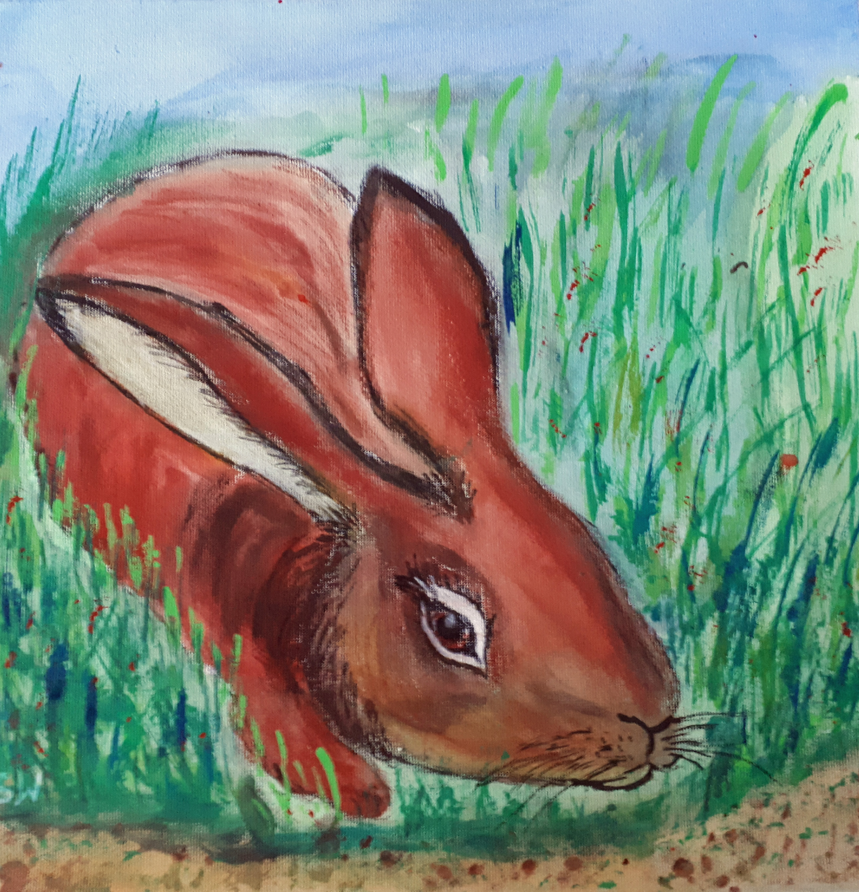 Hase
